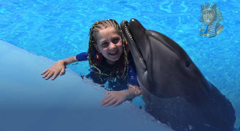 Photo session with dolphins