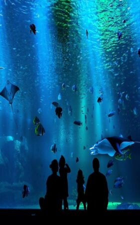 Hurghada grand Aquarium