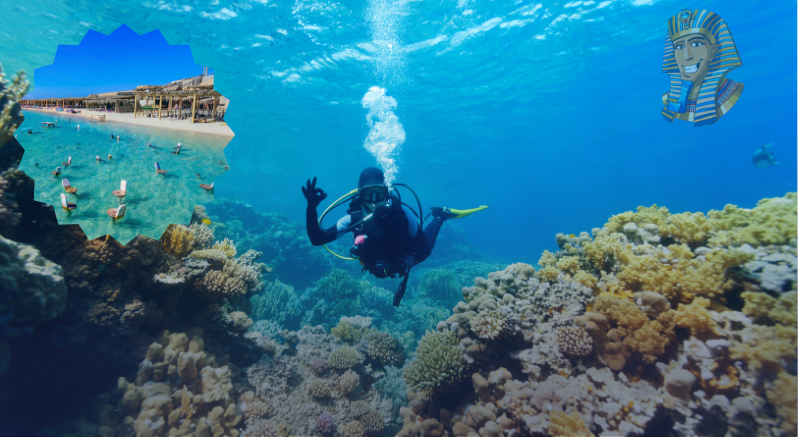 Hurghada Orange island with scuba diving