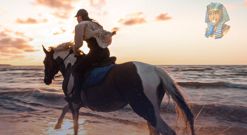 Sunset Sea & Desert Horse Riding Tour