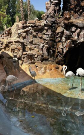 Hurghada grand Aquarium