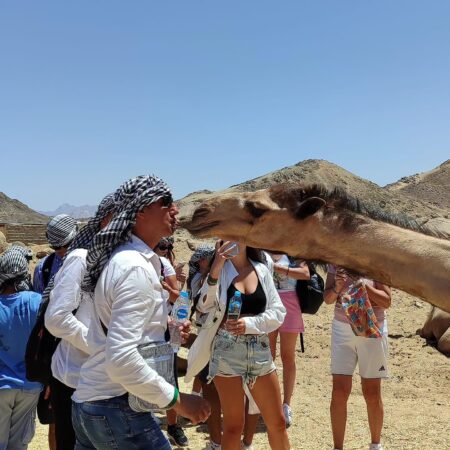 Hurghada Super Safari Full Day